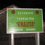 KUP Itik Rajuni 2011 004