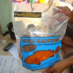 ikan kering kemasan 1