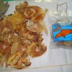 ikan kering kemasan 2