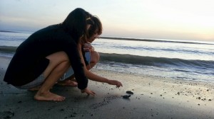 Pengunjung melepaskan tukik